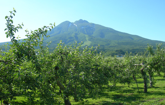 岩木山とりんご園