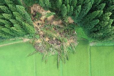 UAVで撮影した農地の被災状況