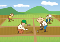 農業分野の障がい者就労