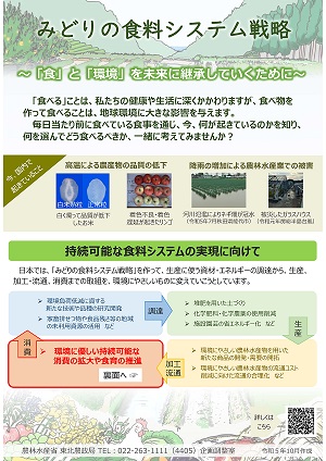 みどりの食料システム戦略チラシ