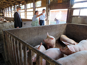 豚舎の中で説明する長谷川洋子氏(中央)