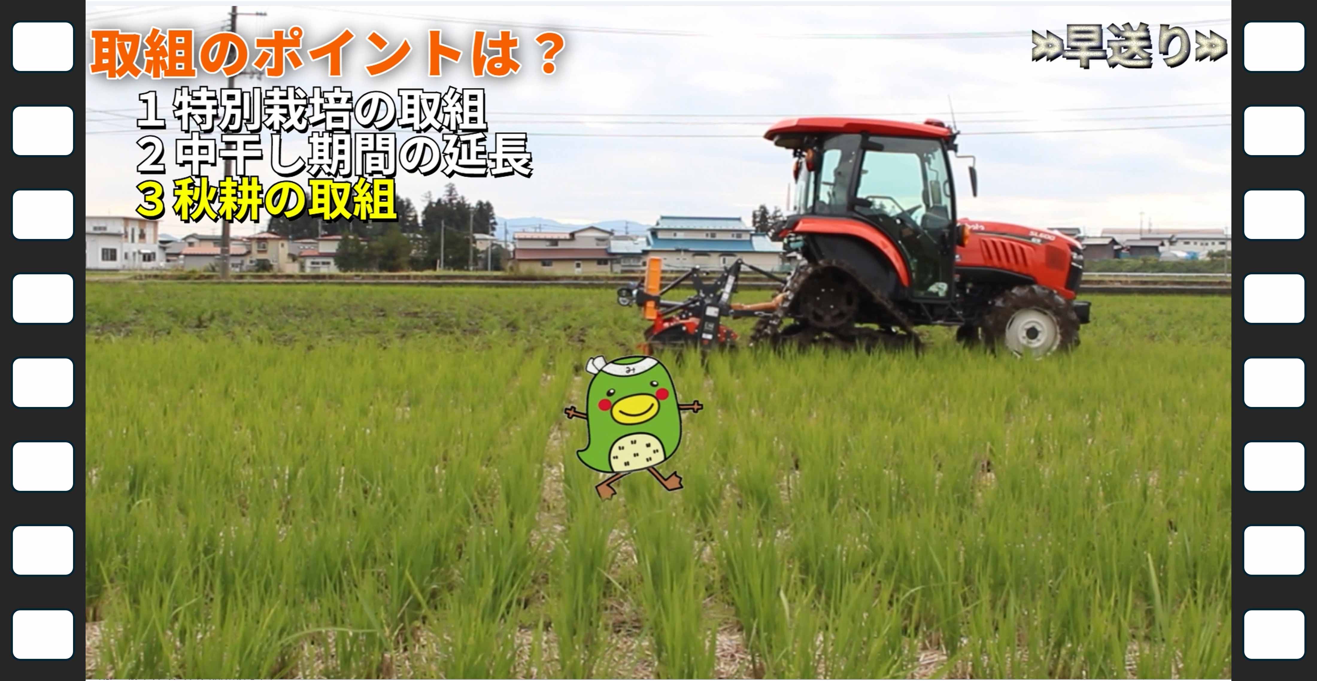 動画のスクリーンショット（取組のポイント）