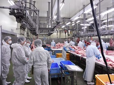 食肉加工の状況
