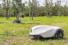 果樹園での作業風景