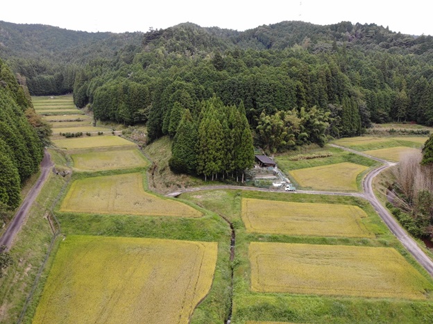 千万町棚田 画像提供 岡崎市役所