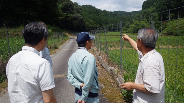 荻野部会長(右)から千万町棚田の説明を受ける奥平地方参事官(左)、岡崎市 板倉主任主査(中央)