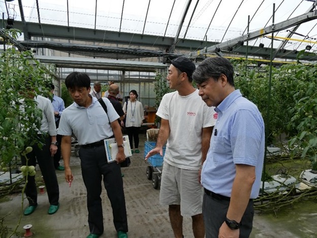 現地農場で夏秋トマト生産者(中央)から説明を受ける福井次長(左)及び奥平地方参事官(右)