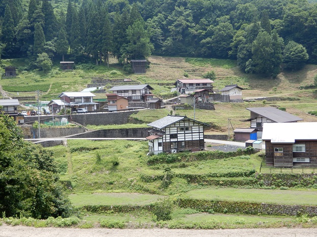 種蔵棚田の様子