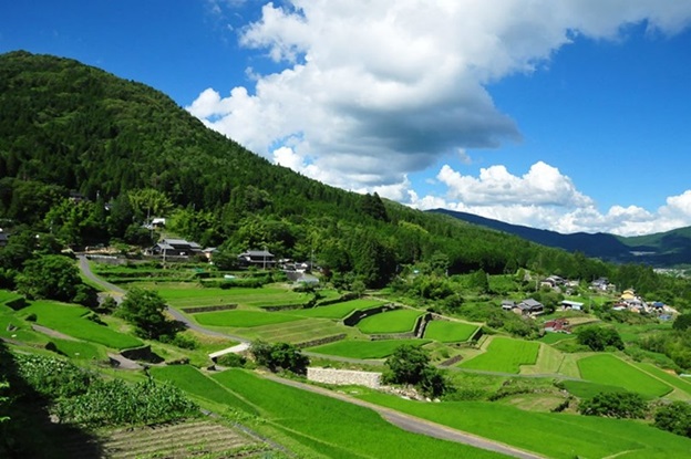 坂折棚田の風景(写真提供 恵那市中野方振興事務所)