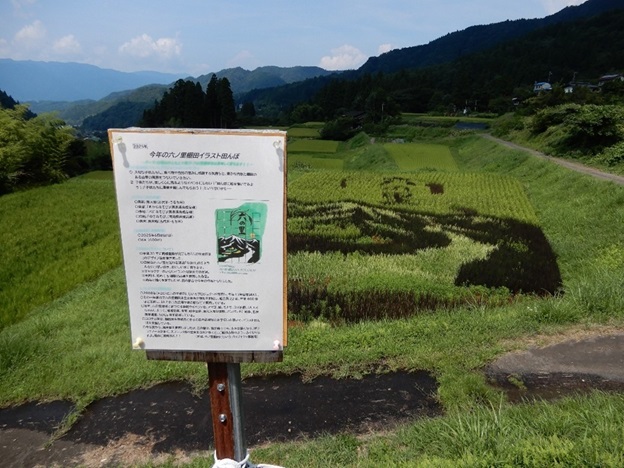六ノ里地区の棚田(畑ヶ谷(はたがたに)棚田)の様子