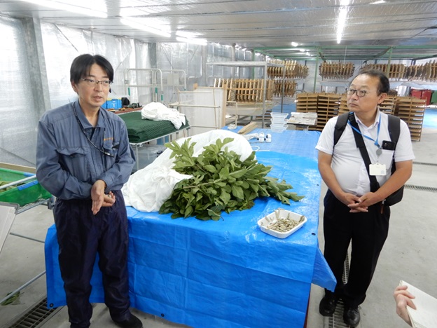 現場を見学する加納地方参事官(右)