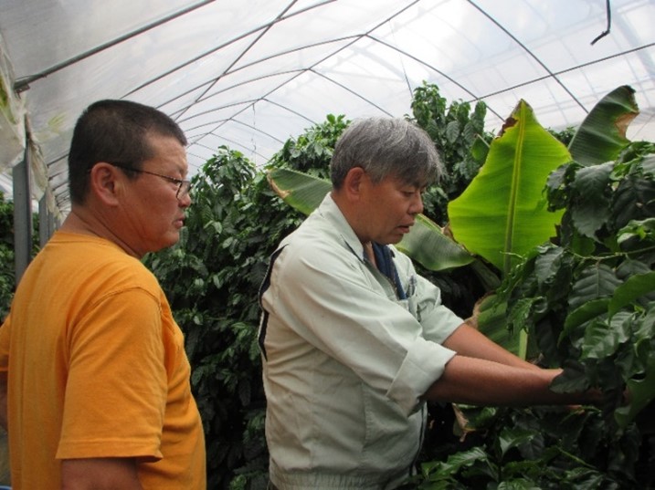下平代表(左)からコーヒーの栽培について説明を受ける中川地方参事官(右)