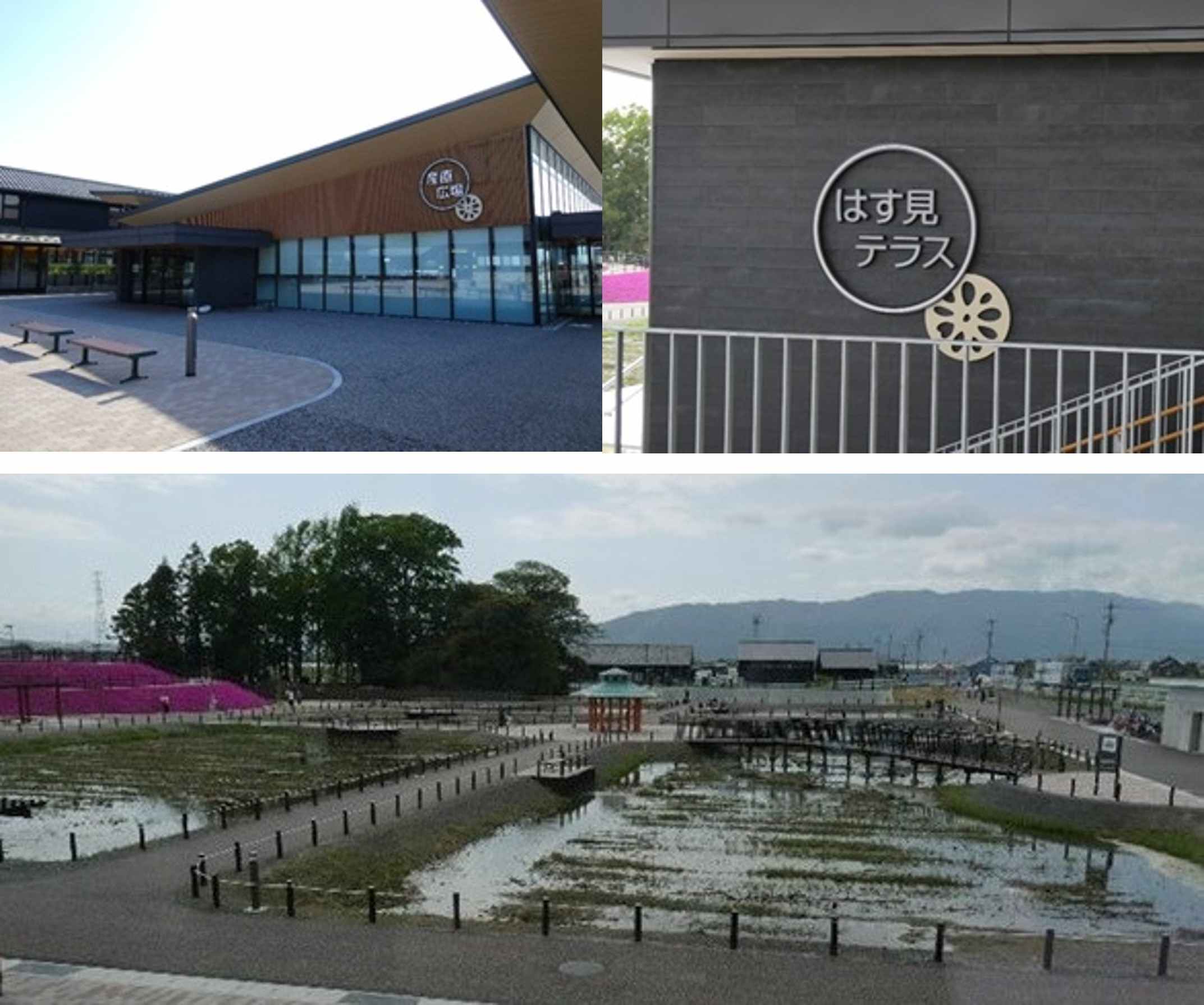 画像１