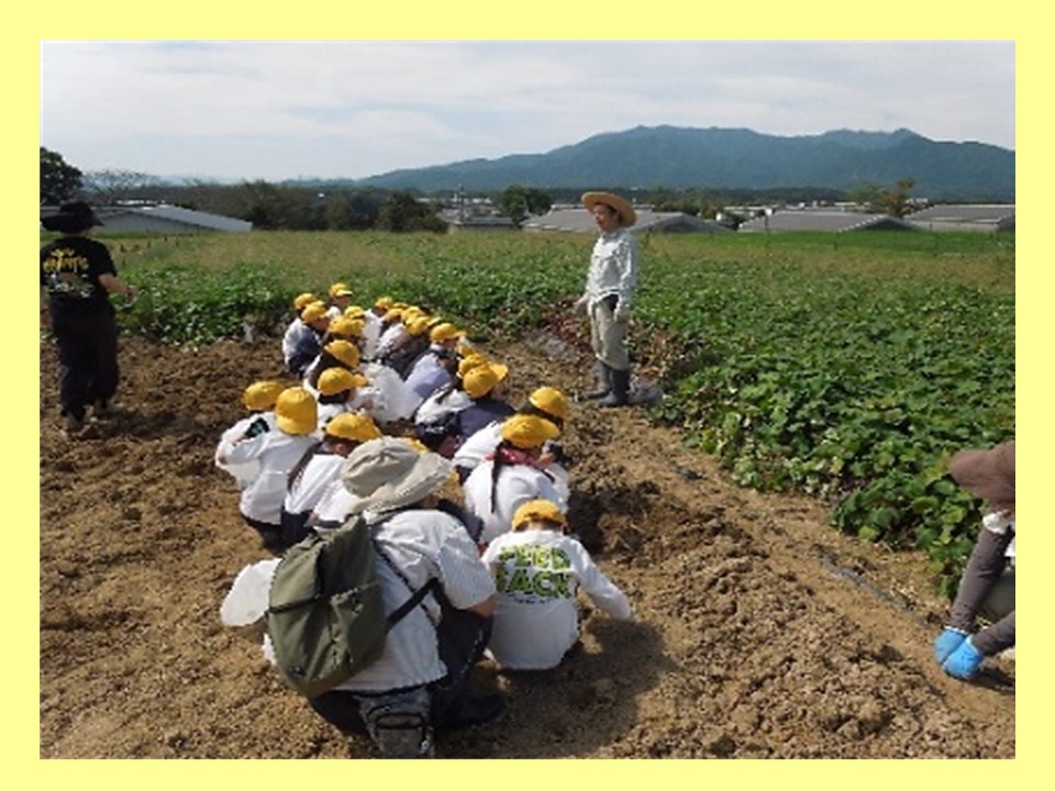 2025三重大学教育ファーム（稲刈り体験＆芋掘り体験）1.jpg