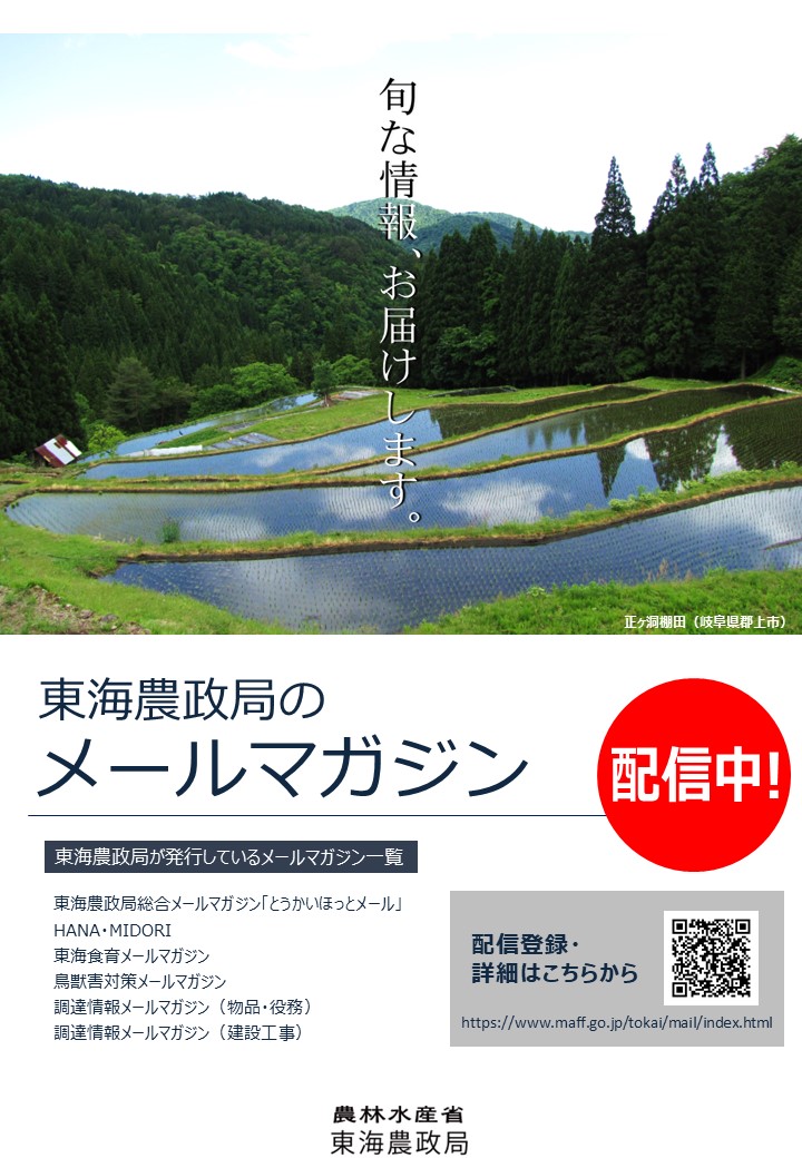 メールマガジンチラシ