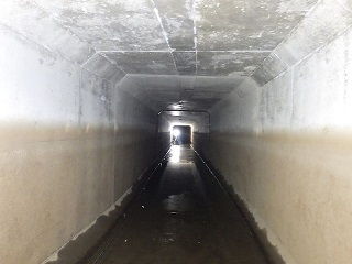 令和6年西部幹線水路施工前