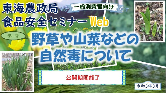 野草や山菜などの自然毒についてサムネイル