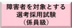 選考採用（障害者）（係員級）