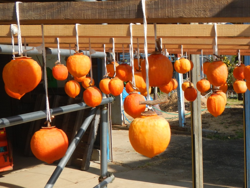 美濃加茂市のかき